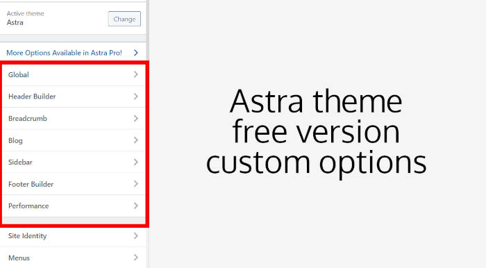 astra theme custom options